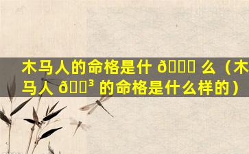 木马人的命格是什 🐎 么（木马人 🐳 的命格是什么样的）